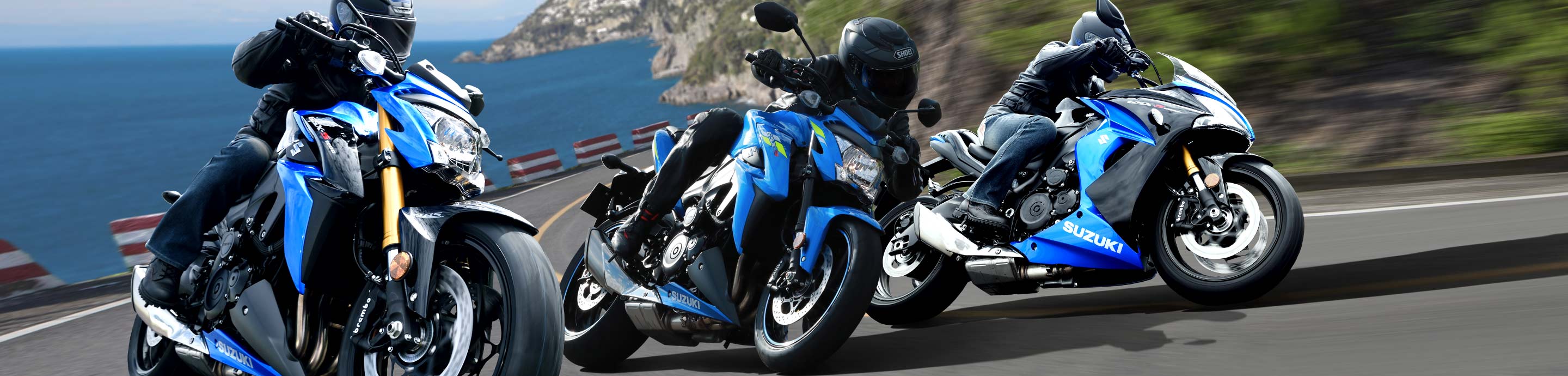 Carénages Suzuki GSXR 1000
