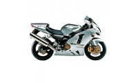 Carénage Kawasaki ZX12R 2002-2006 Abordables