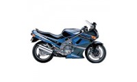 Carénage Kawasaki ZZR600 Abordables