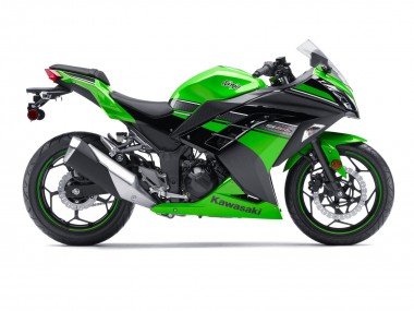 Carénage Moto Kawasaki EX300 2013-2024 - Vert Noir Abordables