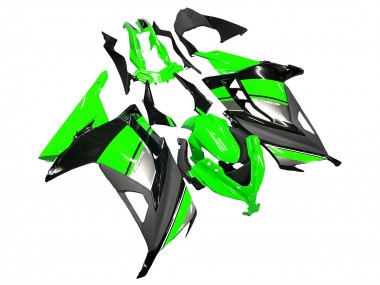 Carénages Moto Kawasaki EX300 2013-2024 - Vert Argent Noir Abordables