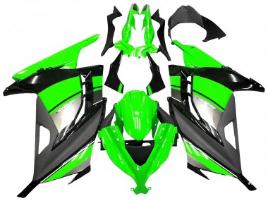 Carénages Moto Kawasaki EX300 2013-2024 - Vert Argent Noir Abordables