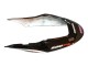 Carénages Moto Honda CBR600 F4i 2004-2007 - Blanc Noir Brillant Rouge Repsol