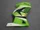 Carénage Moto Kawasaki EX250 2008-2012 - Vert Blanc Noir