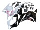 Carénages Moto Honda CBR600RR 2009-2012 - Blanc Fleur de cerisier Noir Brillant