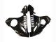 Carénages Moto Yamaha YZF 600 R6 2005 - Noir Brillant