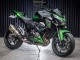Carénages Moto Kawasaki Z800 2013-2018 - Vert Noir Brillant