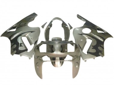 Carénages Moto Kawasaki ZX12R 2002-2006 - Argent Noir Abordables
