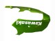 Carénages Moto Kawasaki ZX9R 2000-2001 - Vert Flamme