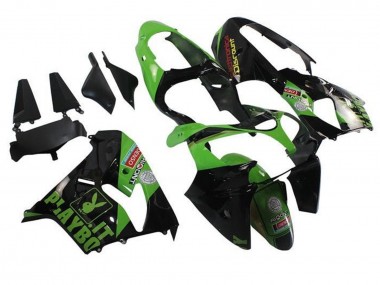 Carénages Moto Kawasaki ZX9R 2002-2003 - Vert Noir Playboy Abordables