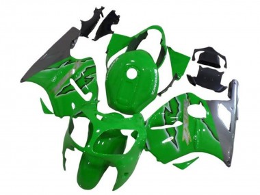 Carénages Moto Kawasaki ZX12R 2002-2006 - Vert Argent Abordables