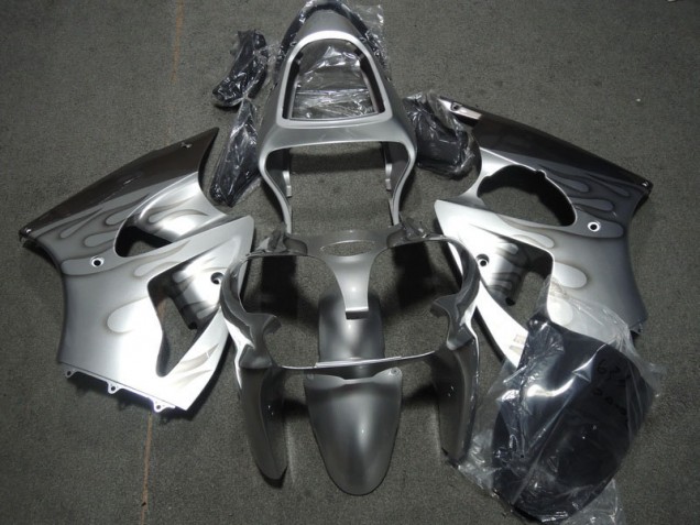 Argent Flamme Carénage Kawasaki ZX6R 2000-2002 Argent Flamme Carénage Kawasaki ZX6R 2000-2002