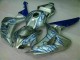 Bleu Flamme Argent Carénage Honda CBR 1000 RR 2006-2007 Bleu Flamme Argent Carénage Honda CBR 1000 RR 2006-2007