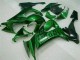 Vert Flamme Carénage Kawasaki ZX10R 2008-2010 Vert Flamme Carénage Kawasaki ZX10R 2008-2010