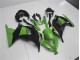 Vert Noir Carénages Kawasaki EX300 2013-2016 Vert Noir Carénages Kawasaki EX300 2013-2016